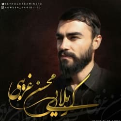 محسن غريب