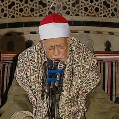 أحمد محمد عامر