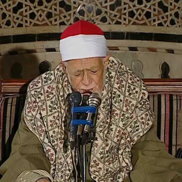 أحمد محمد عامر