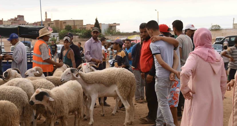 عيد الأضحى فرصة للزيارات العائلية